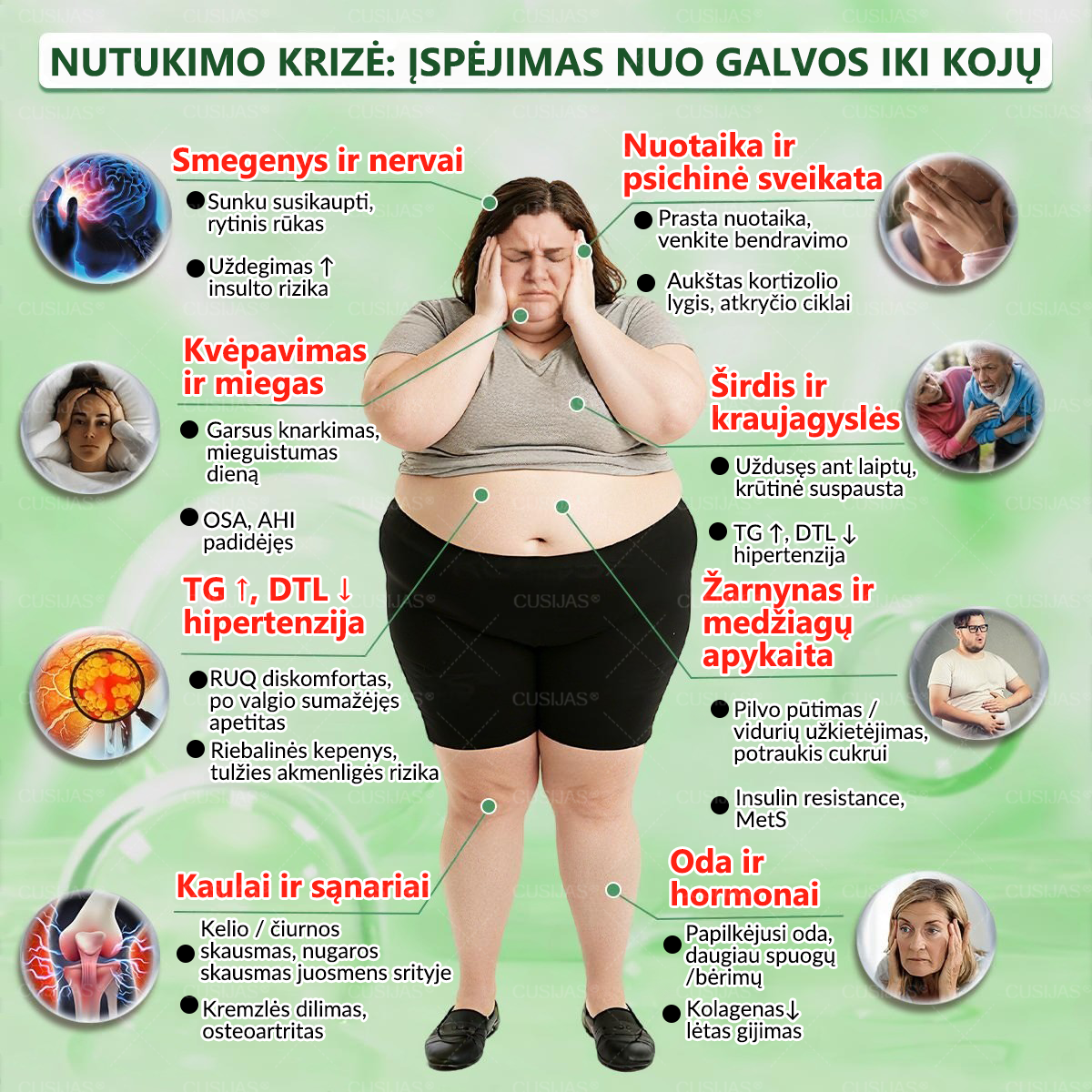 𝑪𝑼𝑺𝑰𝑱𝑨𝑺® 𝑴𝒐𝒓𝒊𝒏𝒈𝒂 · 𝐁𝐄𝐑𝐁𝐄𝐑𝐈𝐍𝐀𝐒 × 𝑵𝑨𝑫+ 10 viename Metabolizmo palaikymo nano mikroadatinis pleistras (𝗧𝗶𝗸 𝗸𝗮𝗿𝘁ą 𝗽𝗲𝗿 𝗱𝗶𝗲𝗻ą, 𝗺𝗮𝘁𝗼𝗺𝗶 𝗽𝗼𝗸𝘆č𝗶𝗮𝗶 𝗽𝗲𝗿 𝟳 𝗱𝗶𝗲𝗻𝗮𝘀)  ✅ Skirtas padėti palaikyti organizmo balansą, kūno savijautą ir kasdienę gerovę🌷